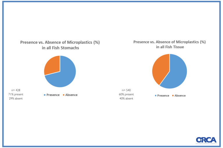 OHFM graphs FALL 2024 (5)